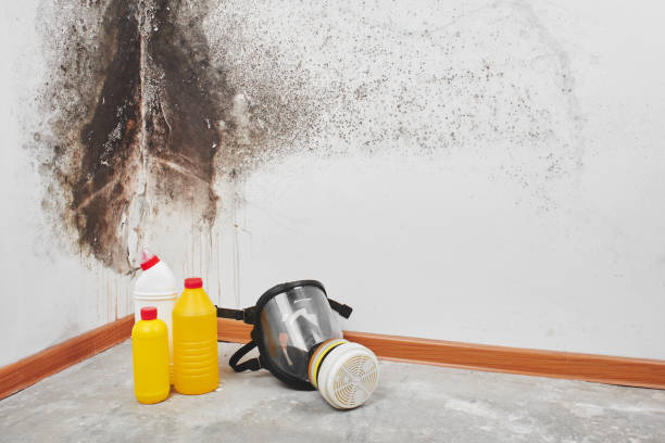 Best Crawl Space Mold Removal  in Yosemite Lakes, CA