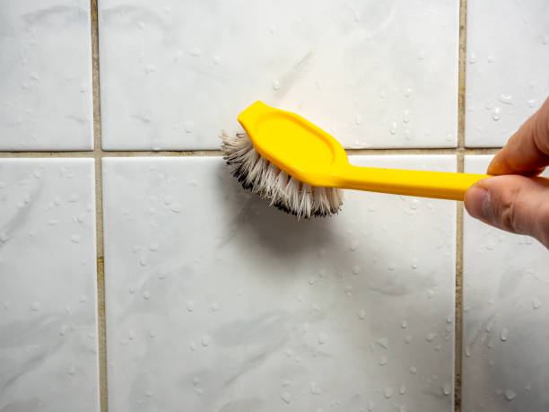  Yosemite Lakes, CA Mold Removal Pros