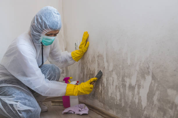 Best Mold Removal Process  in Yosemite Lakes, CA