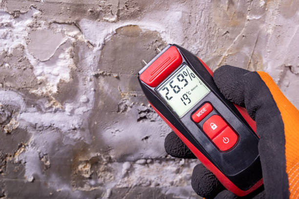 Best Home Mold Removal  in Yosemite Lakes, CA