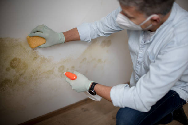 Best Mold Testing  in Yosemite Lakes, CA