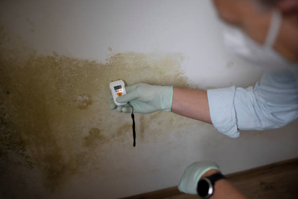 Best Residential Mold Removal  in Yosemite Lakes, CA