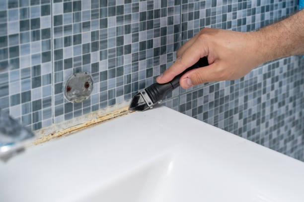 Best Mold Damage Repair  in Yosemite Lakes, CA