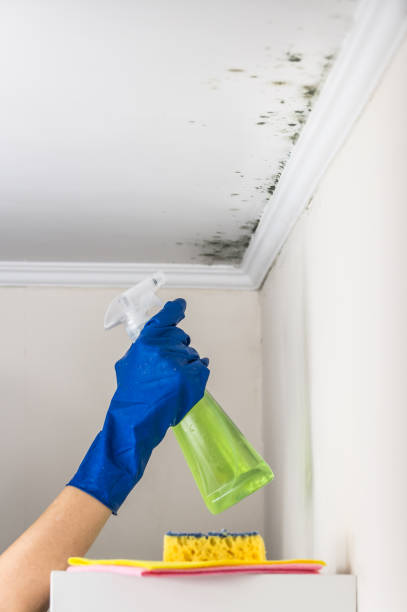 Best Mold Testing  in Yosemite Lakes, CA