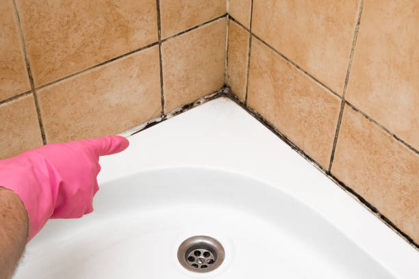 Best Emergency Mold Removal  in Yosemite Lakes, CA